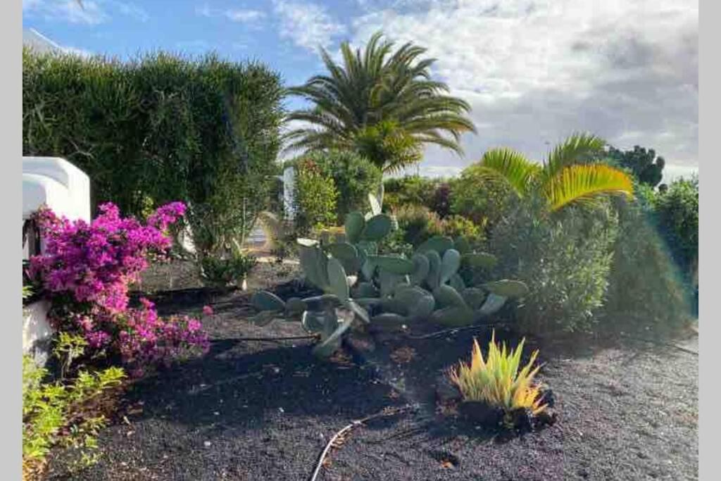 Villa Isa Sea Views Playa Blanca  Kültér fotó